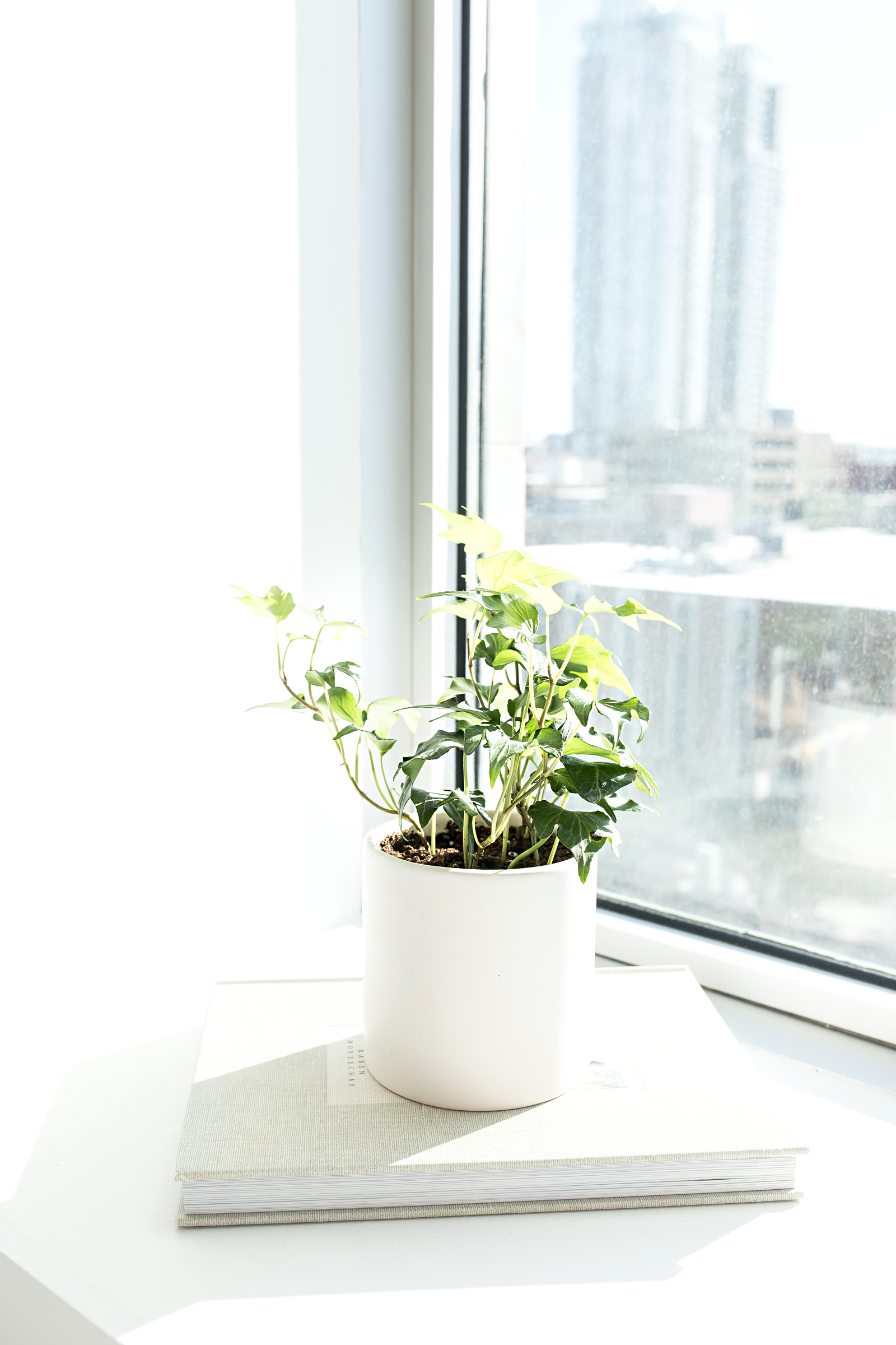 haute-stock-photography-urban-vibes-10.jpg
