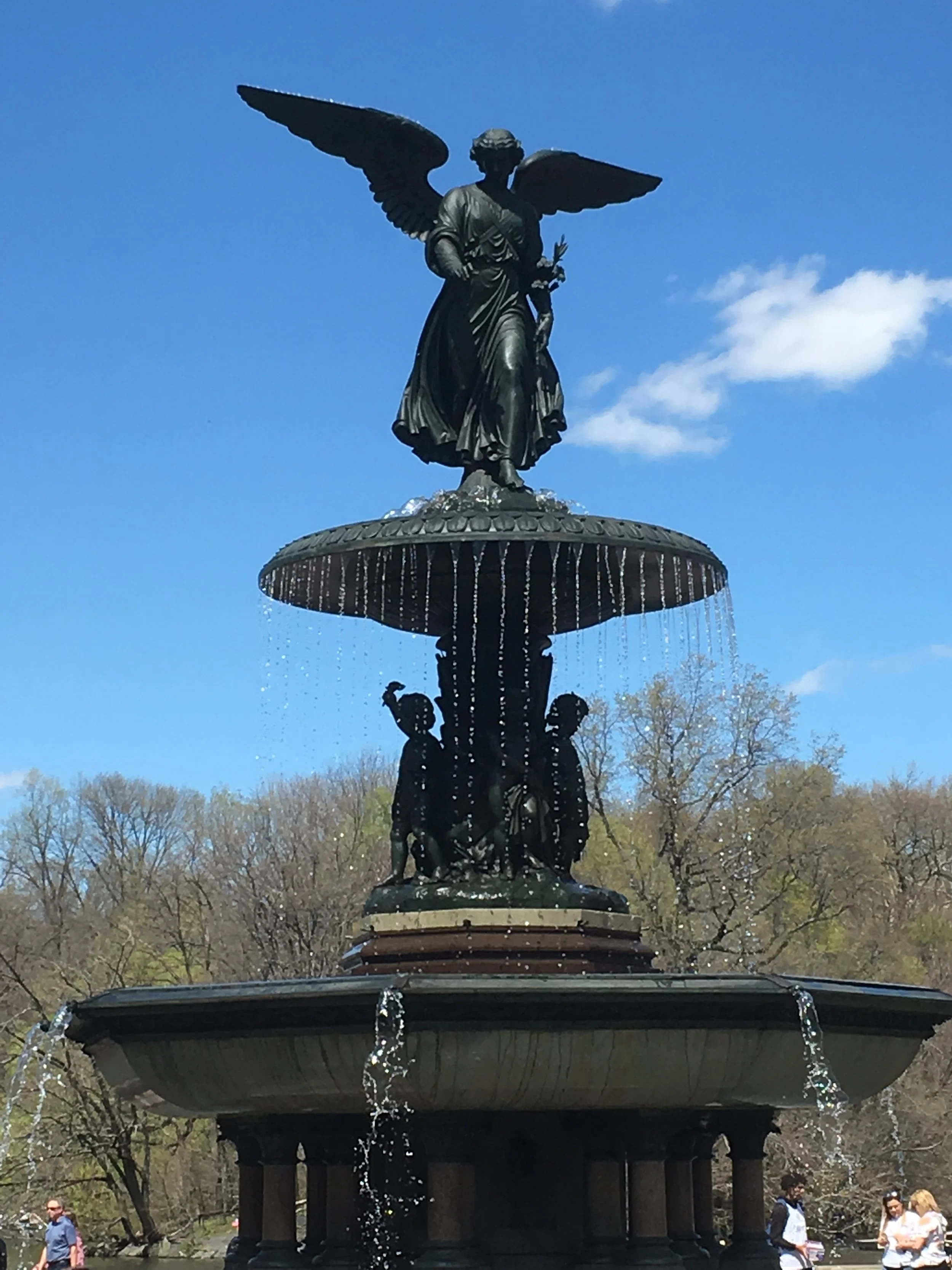 Readers donating The Great Big Ark in the Sky
