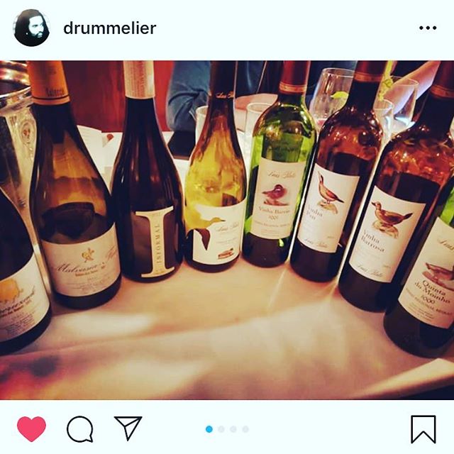 Repost from @luispatowines and @luisaplourenco seminar on indigenous Portuguese grapes #encruzado #malvasiafina and #Baga @drummelier #wineeducation #drinkmoreportuguesewine