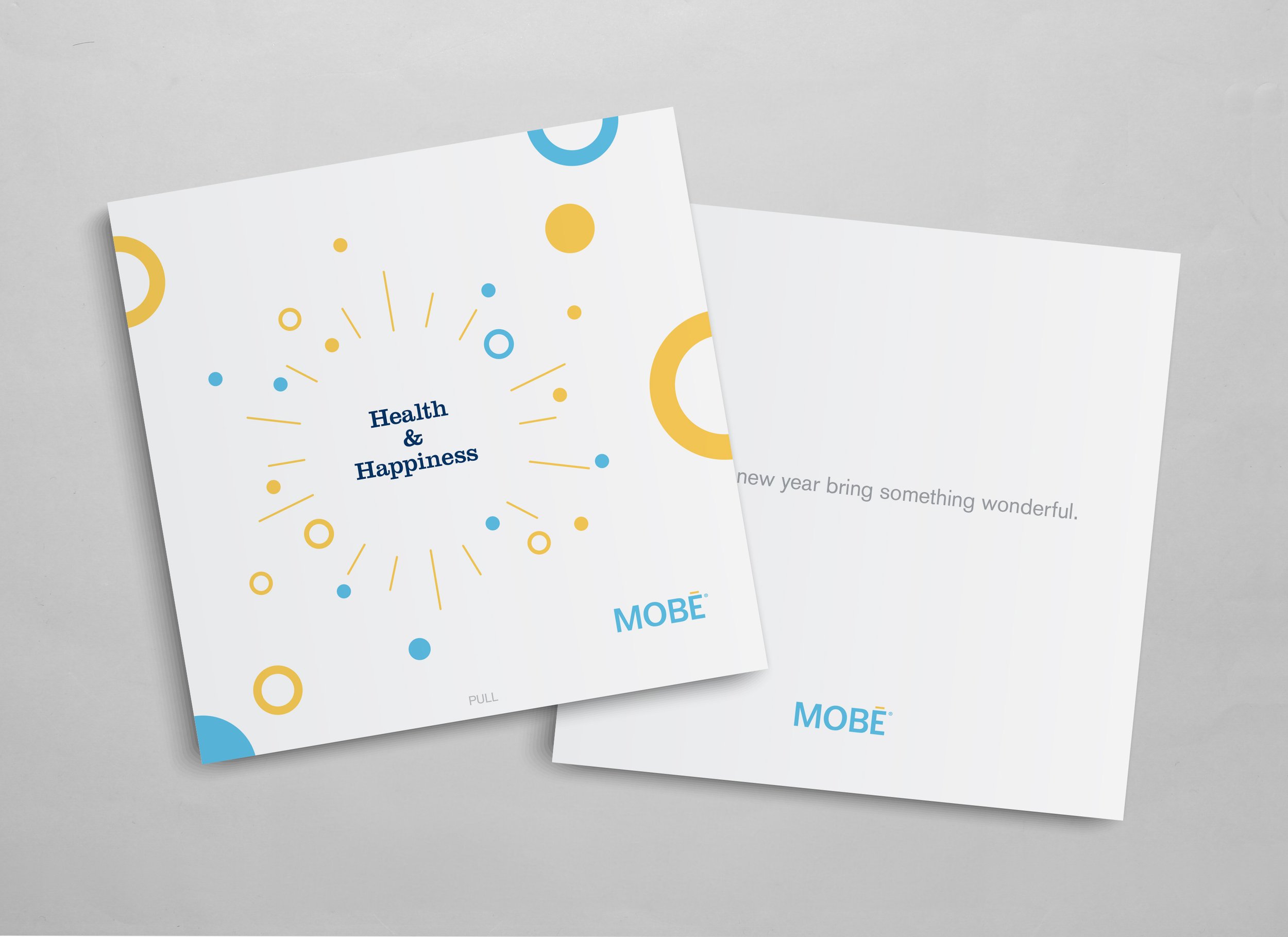 Front and back of removable insert