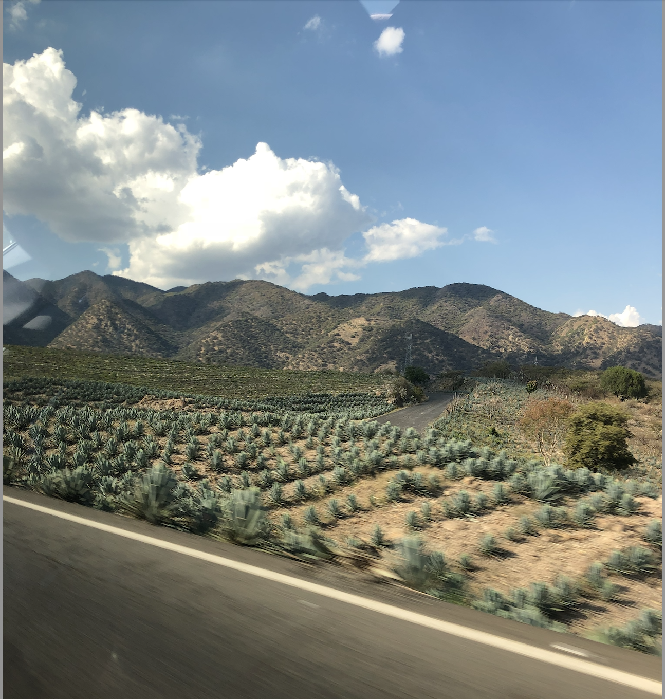 Screenshot 2026-01-23 at 8.01.05 AM.png