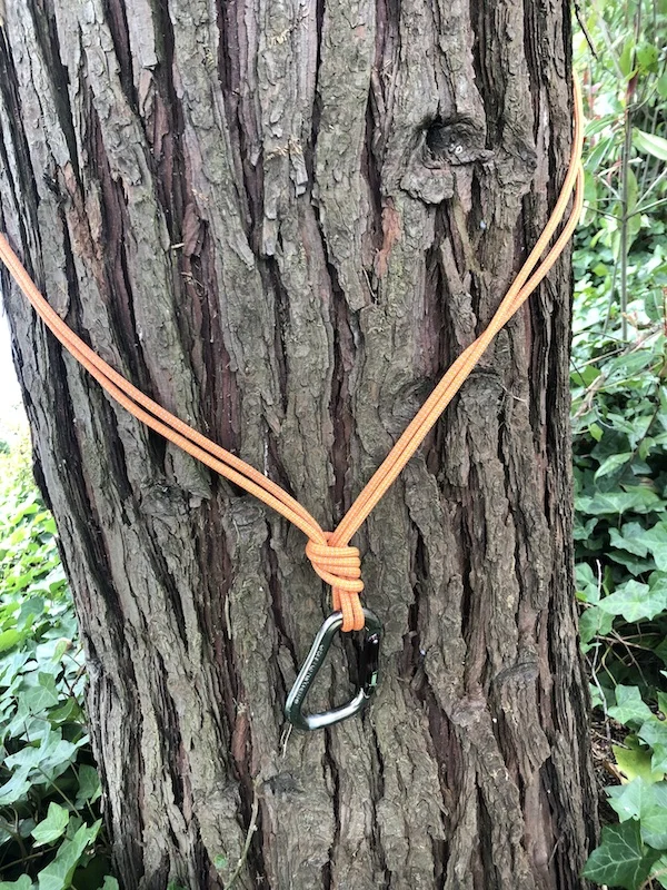 Cordelette on a tree caution on the shelf — Alpinesavvy