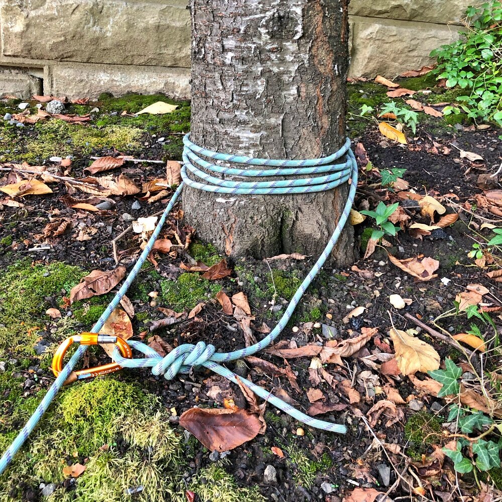 Using a rope to make a tensionless tree anchor — Alpine Savvy