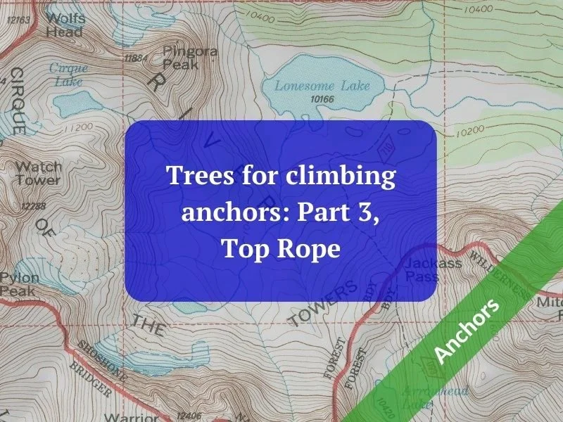 Trees for climbing anchors: Part 3, Top Rope