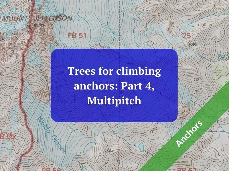 Trees for climbing anchors: Part 4, Multipitch