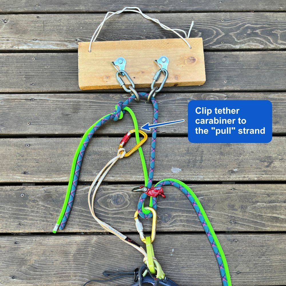Double rope rap: clip tether carabiner to the “pull” strand — Alpine Savvy