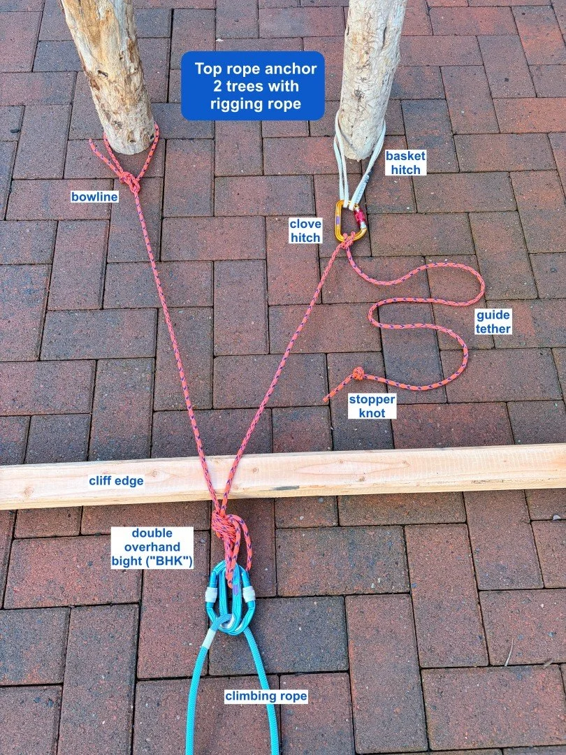 Trees for climbing anchors: Part 3, Top Rope — Alpinesavvy