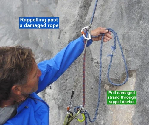 Alpine Tips — Alpinesavvy