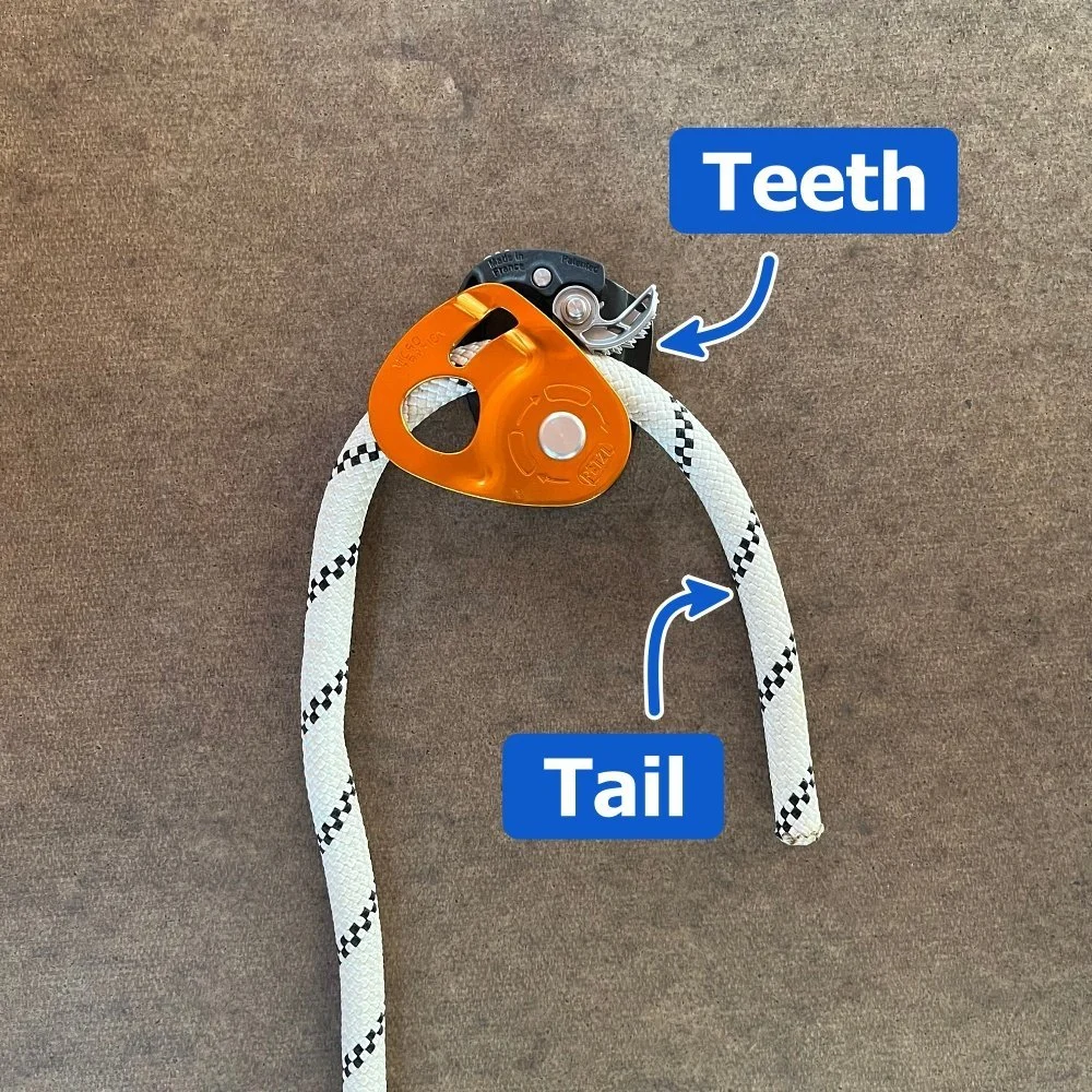 Crevasse rescue: 