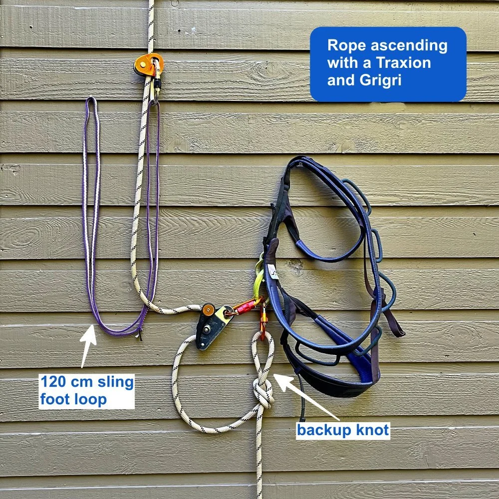 Rope ascending with the Petzl Traxion — Alpinesavvy