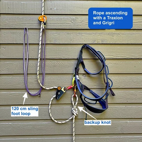 Prograssive Over Rope Rope ascending with the Petzl Traxion — Alpinesavvy