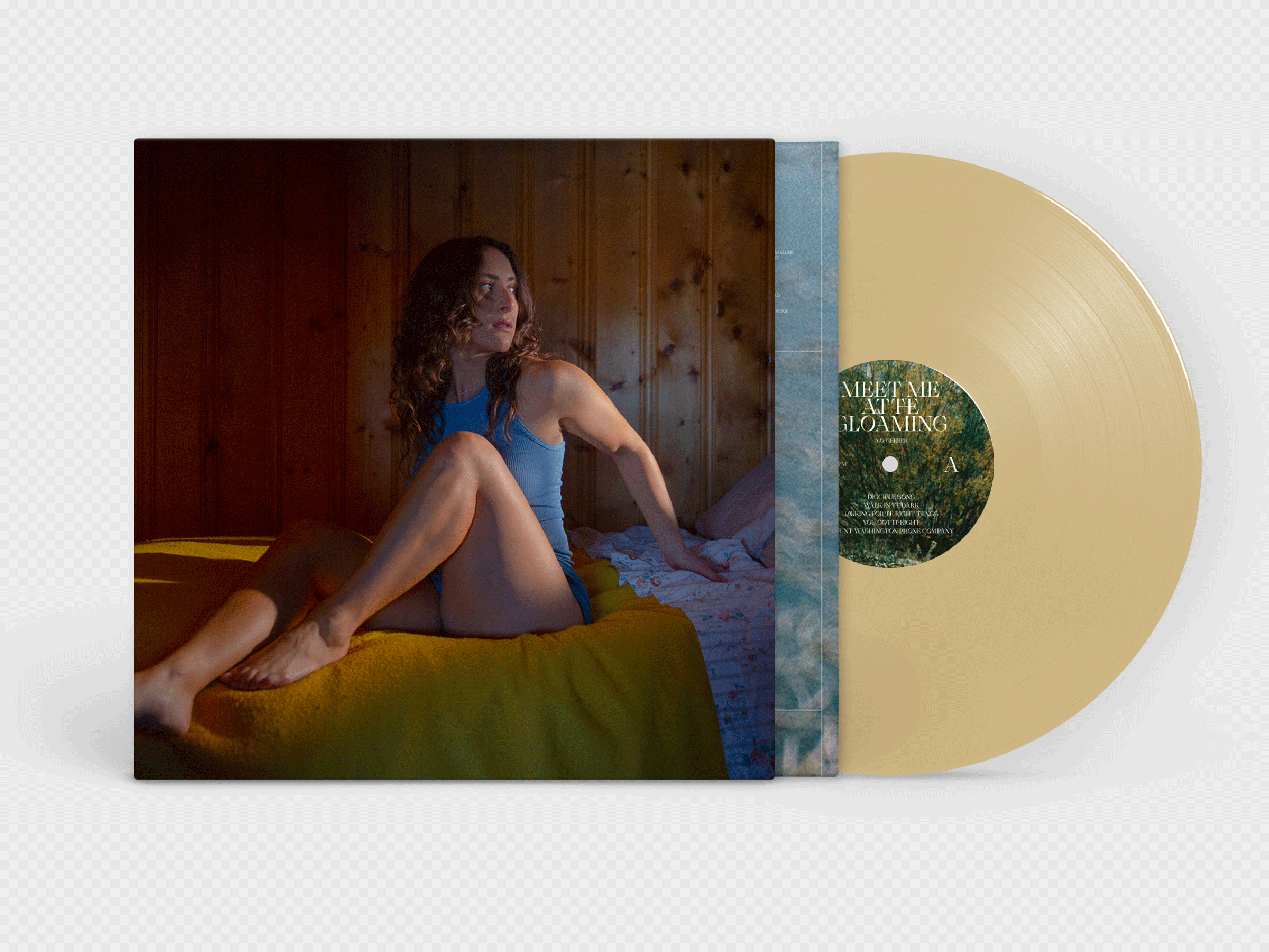 FD113lp-C2-Mockup-Bandcamp.png