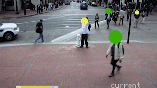 Respectful Cameras-low_1_1.gif