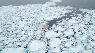 arctic copy 3_1.gif