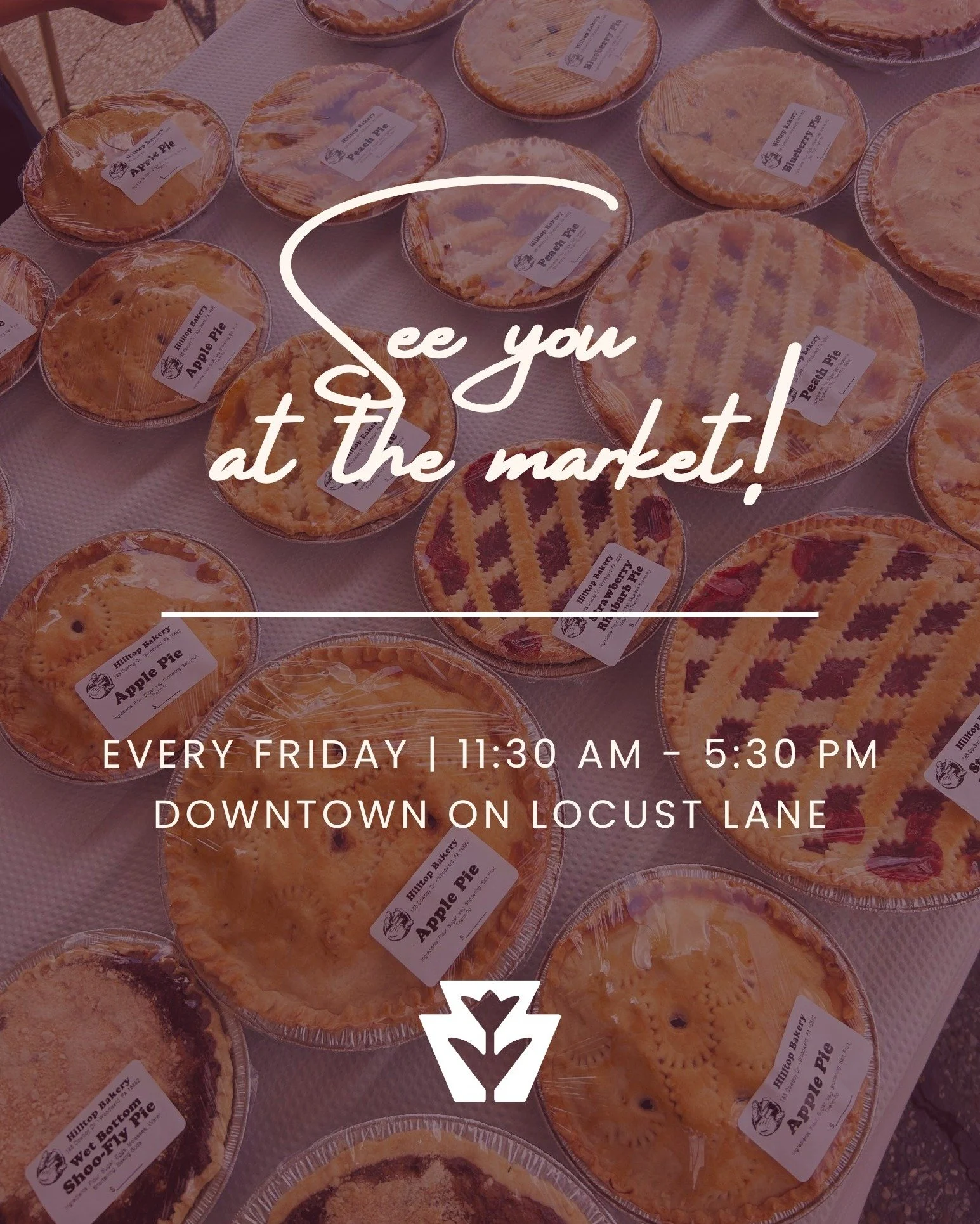 It's Market Day! What goodies will you find? πͺ΄π
π₯§