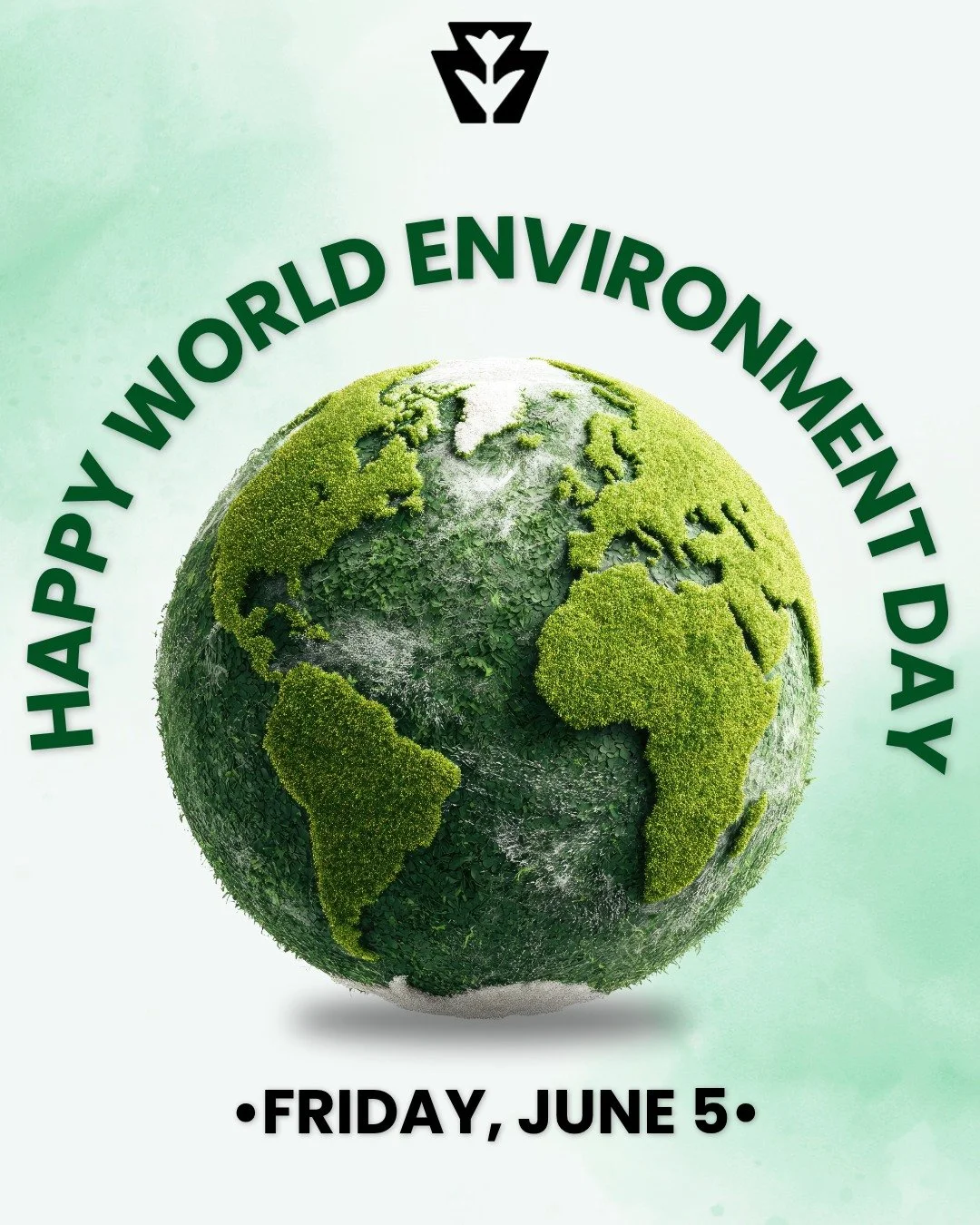 Celebrate #WorldEnvironmentDay by shopping small and buying local! We'll be at the market from 11:30-5:30, hope to see you soon! 🌎🌳
