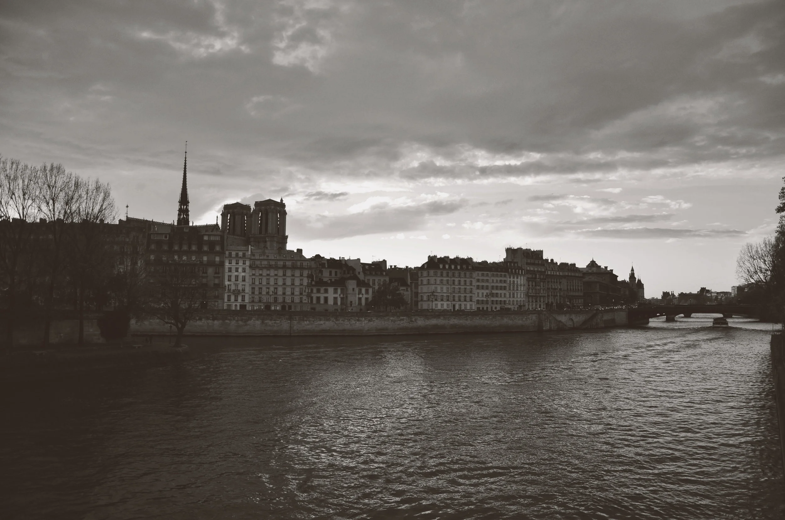 DSC_0038.jpg