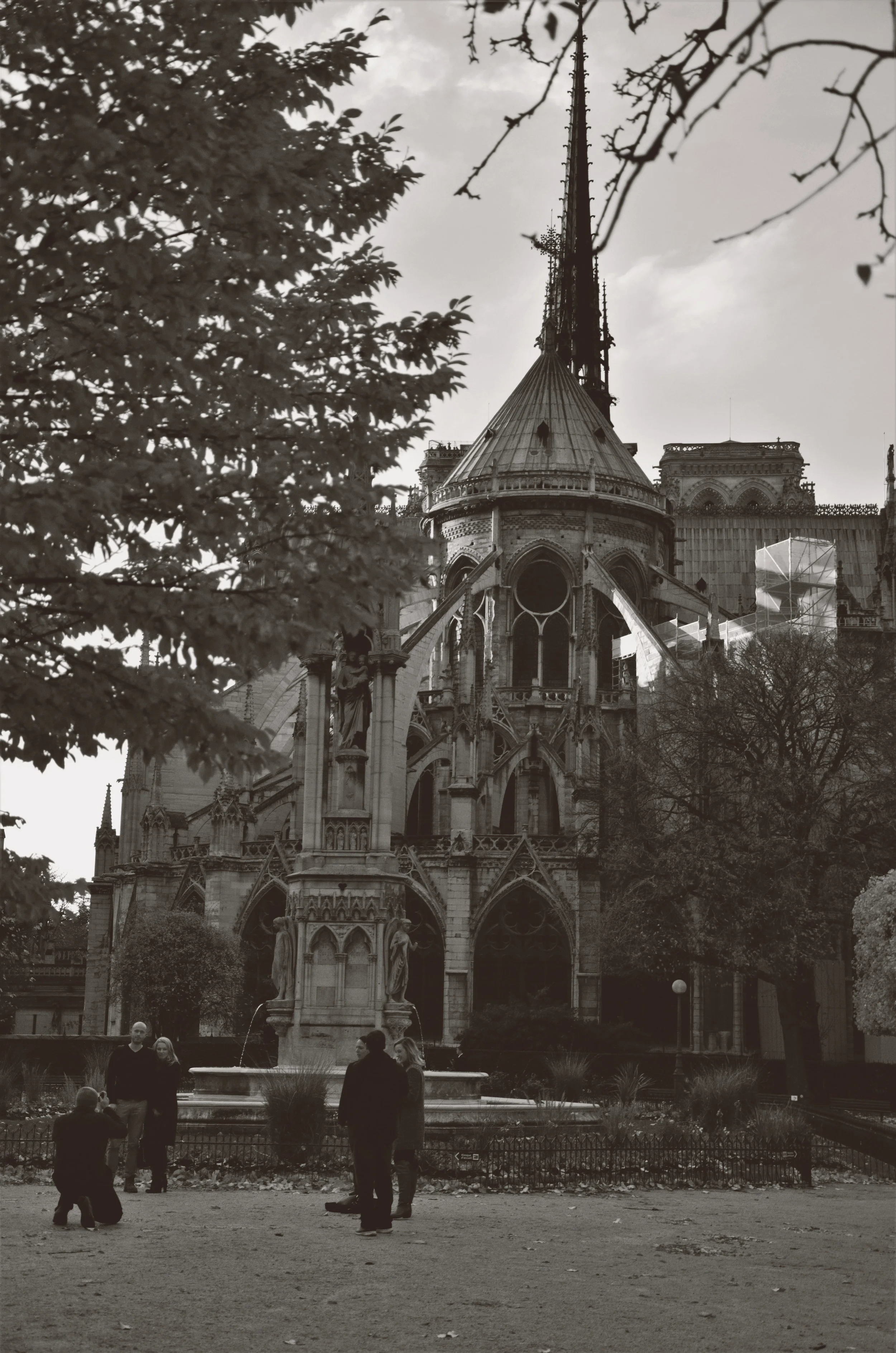 DSC_0073a.jpg
