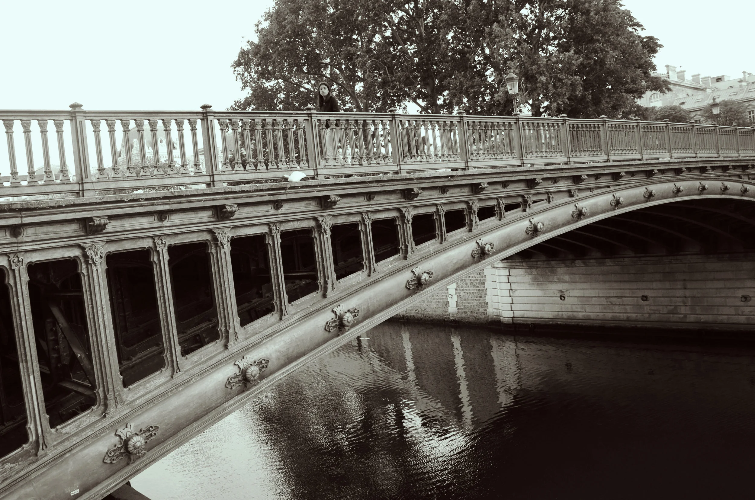 DSC_0159.jpg