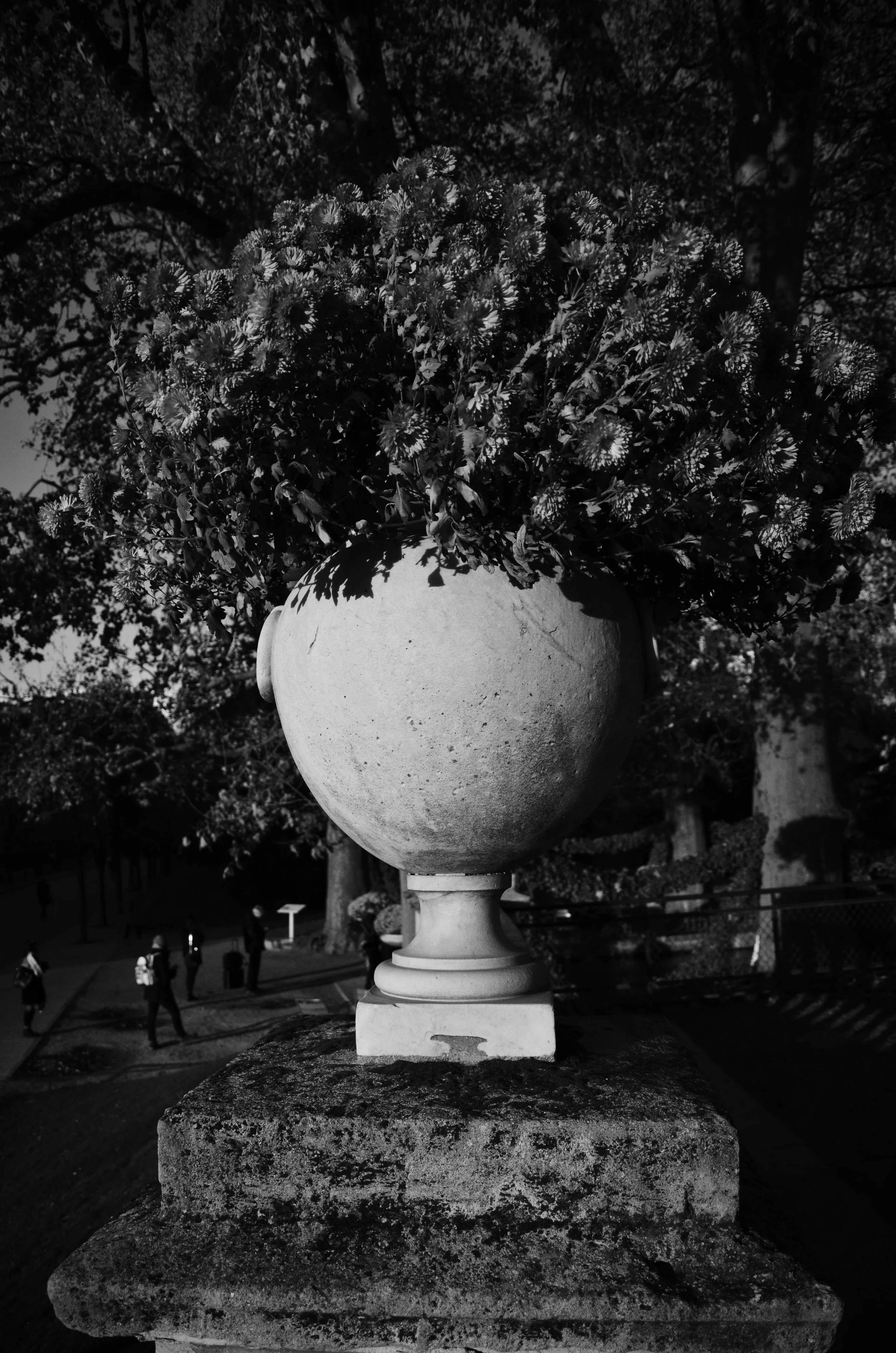 DSC_0492.jpg