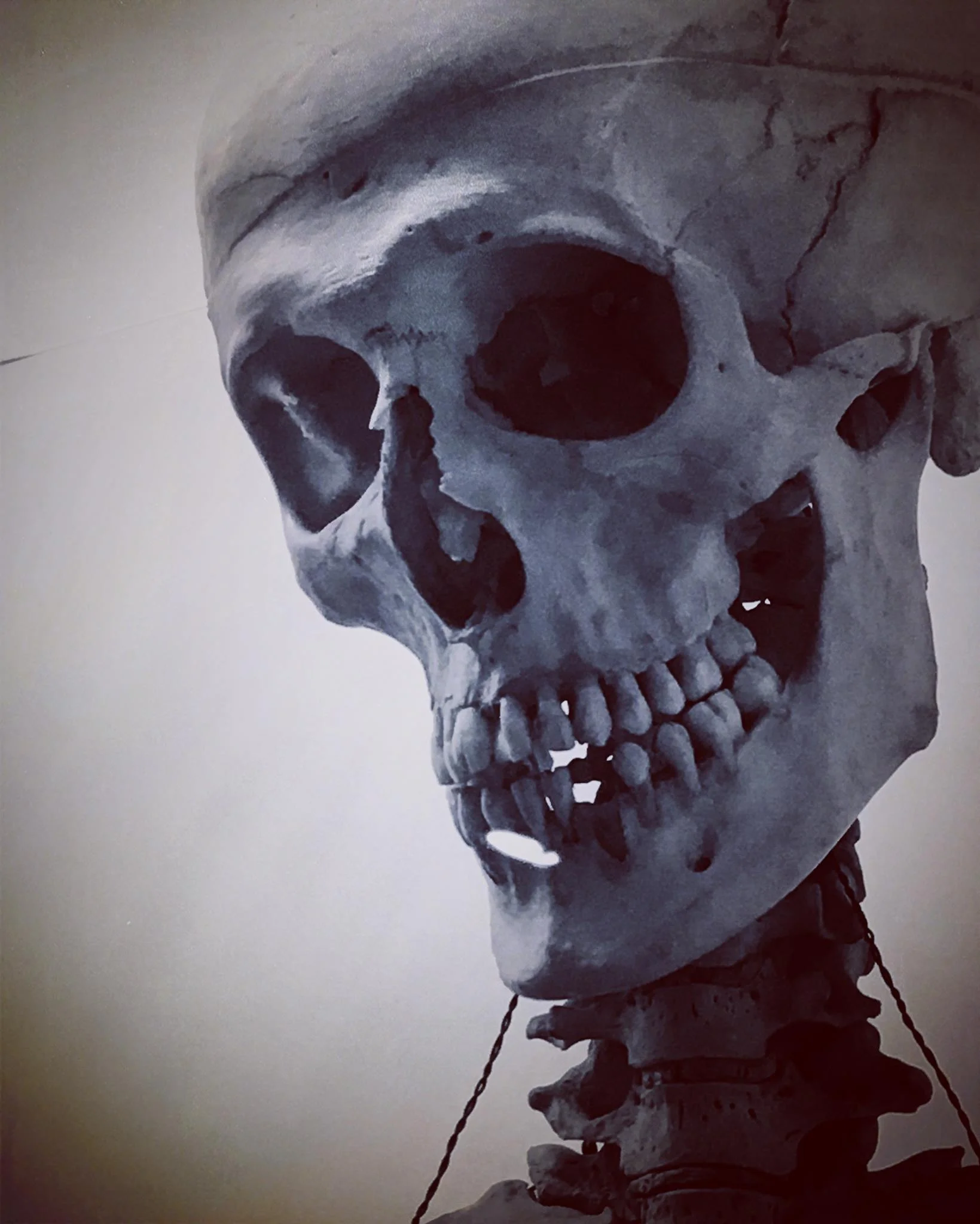 50636660_805211289871436_6975756595057655808_o_805211286538103.jpg