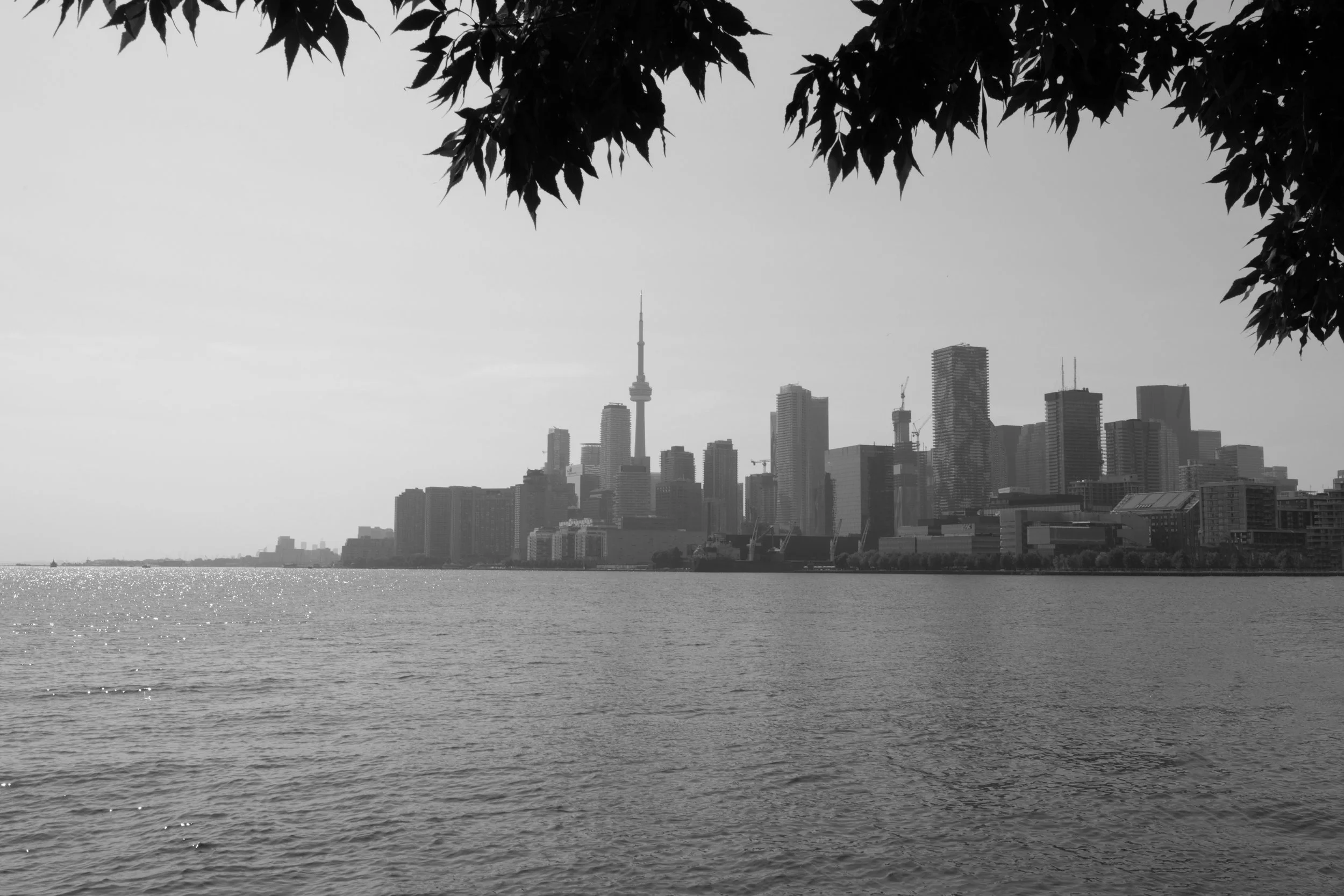 toronto.jpg