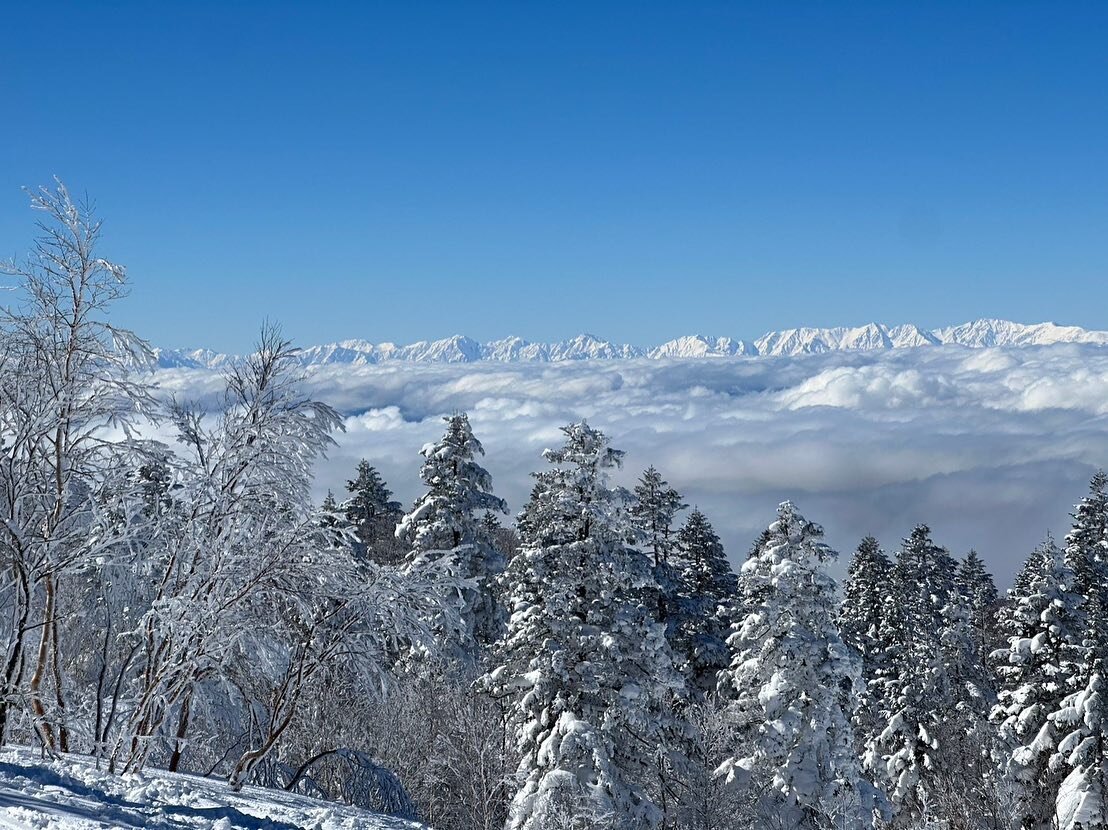 THE DAY in Shiga Kogen
.
#shigakogen 
#skijapan 
#skijapanholidays 
#japow
#skiholiday