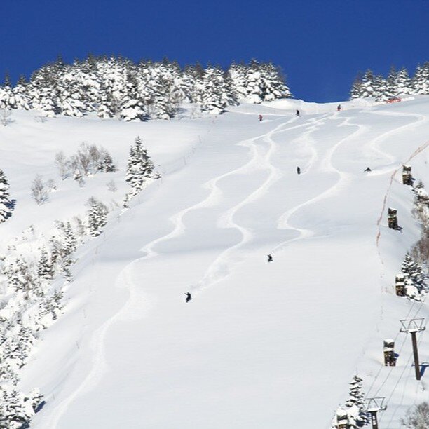 Come and discover Shiga Kogen:

Situated in the heart of the Johshinetsu Kogen National Park in Nagano and is by far the largest ski resort in Japan, with 21 interlinked resorts all on one lift ticket! Shiga covers a huge area and offers a great dive