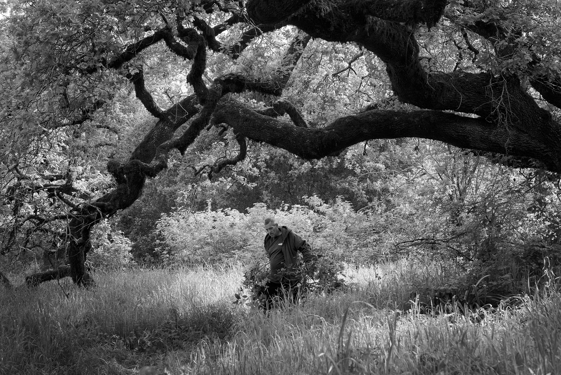 Steve-Michelle_Cemetery_0134-BW.jpg