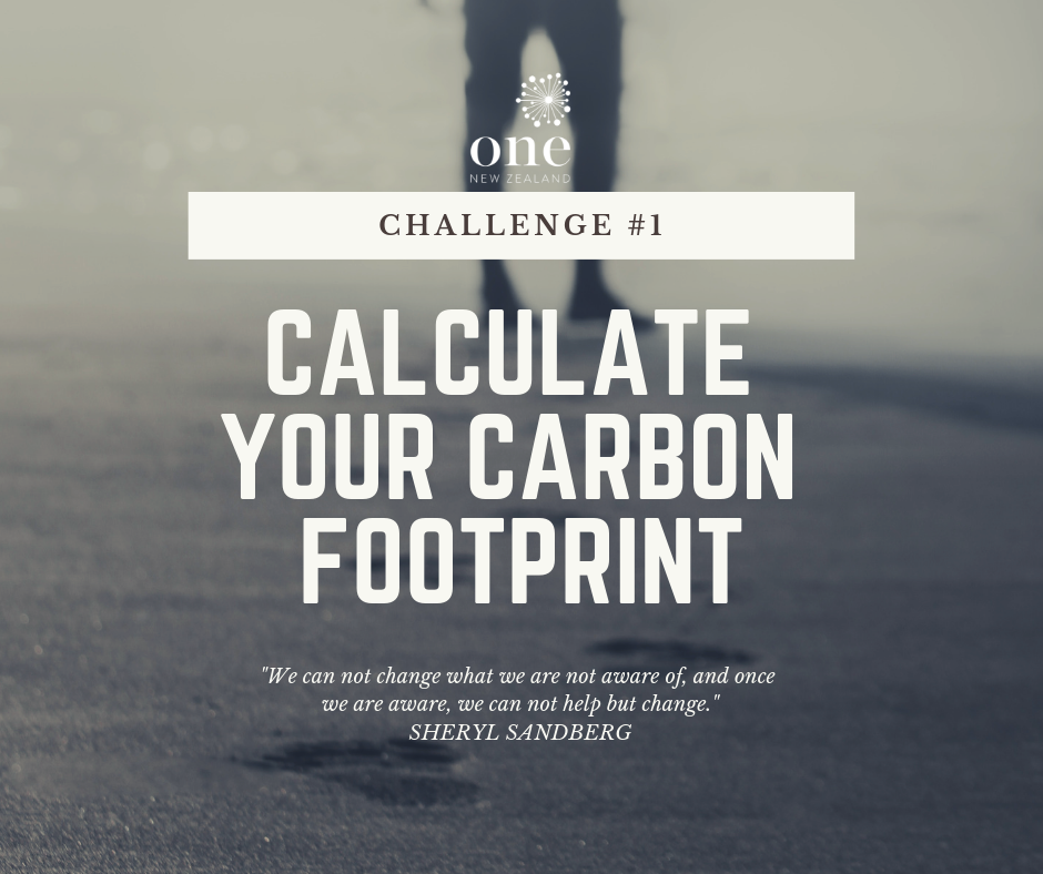 Challenge #1 - Calculate your carbon footprint