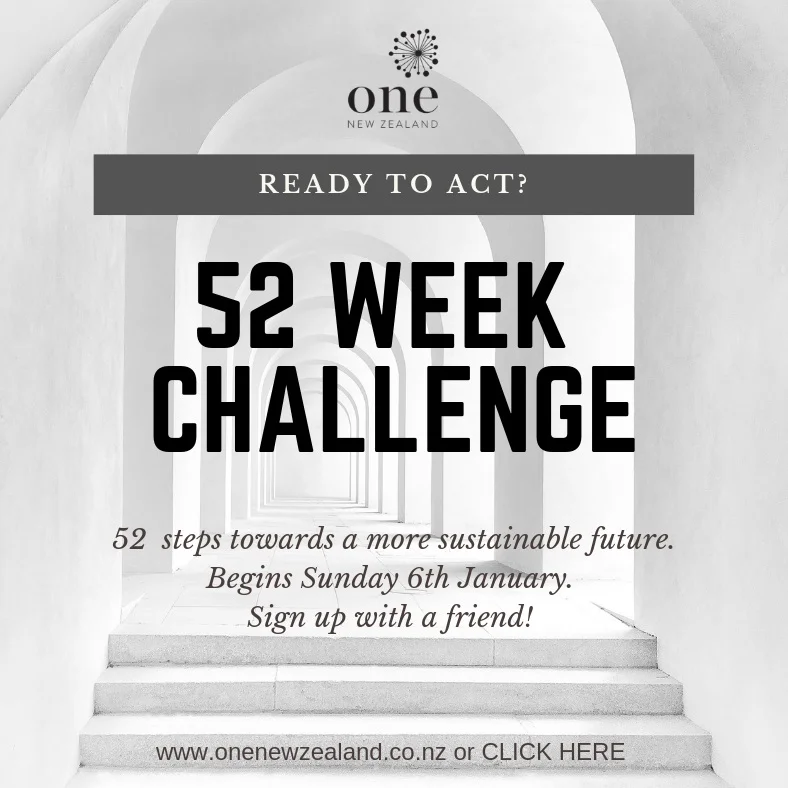 The 52 Week Challenge is a year long journey into the wonderful world of sustainability. Focused on acts that we can all do to transform our communities for good.