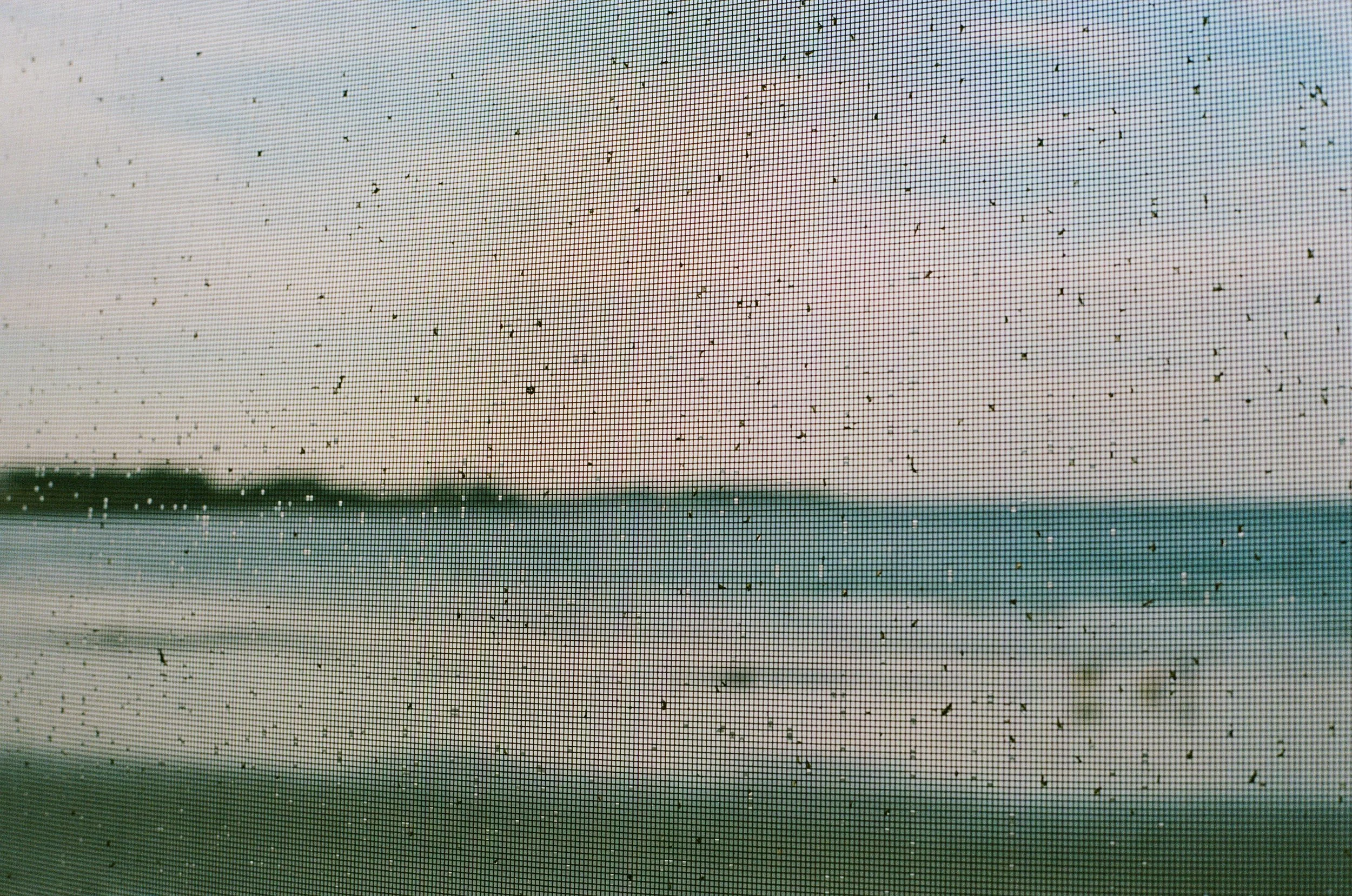 000084780006.jpg