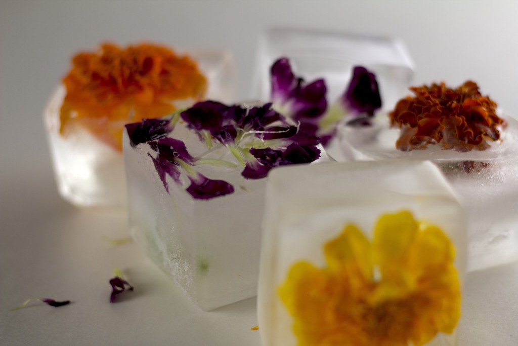 Edible Flower Ice Cubes • Beautiful Ingredient