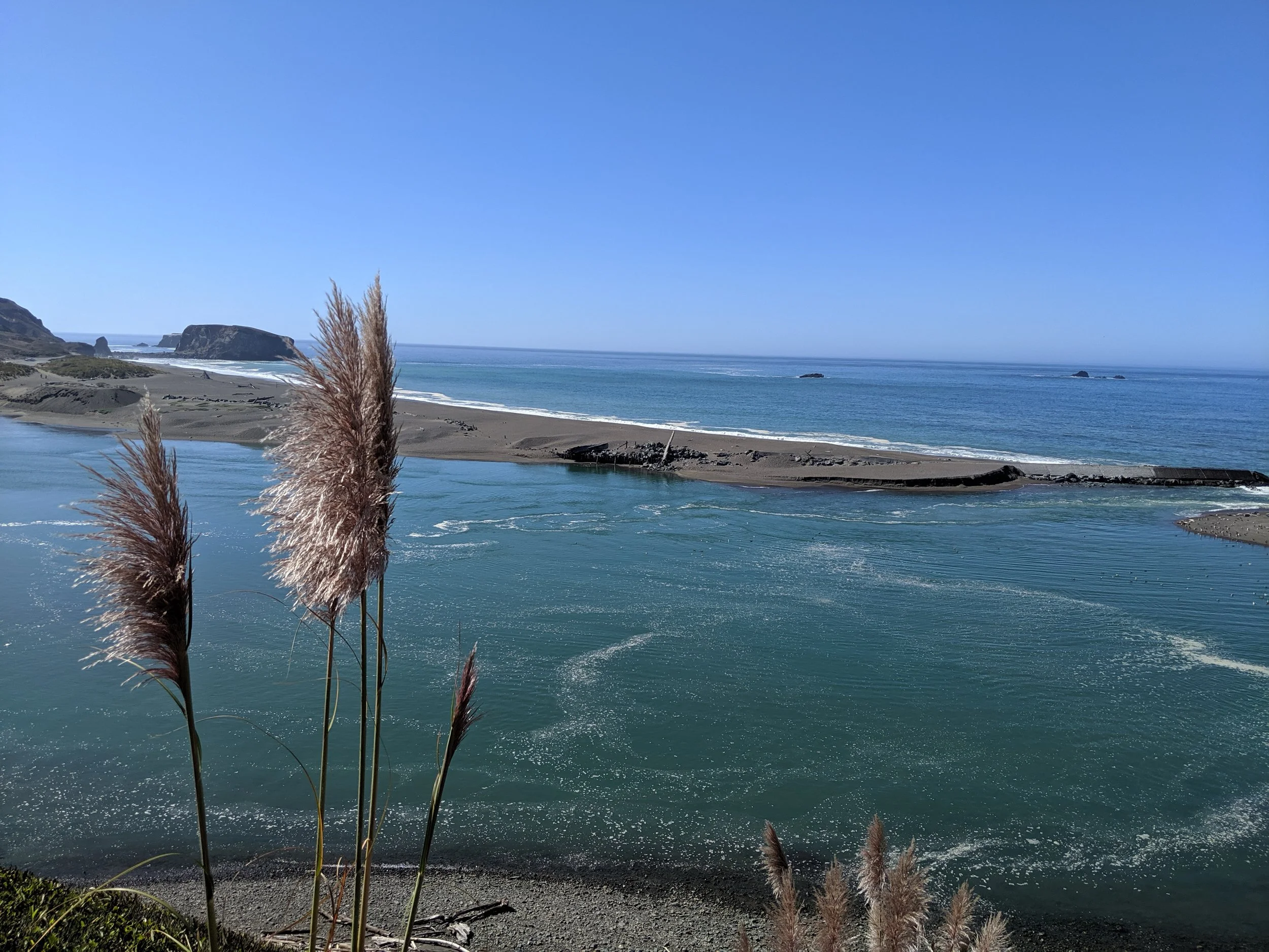 Sonoma Coast State Park, Jenner, Ca