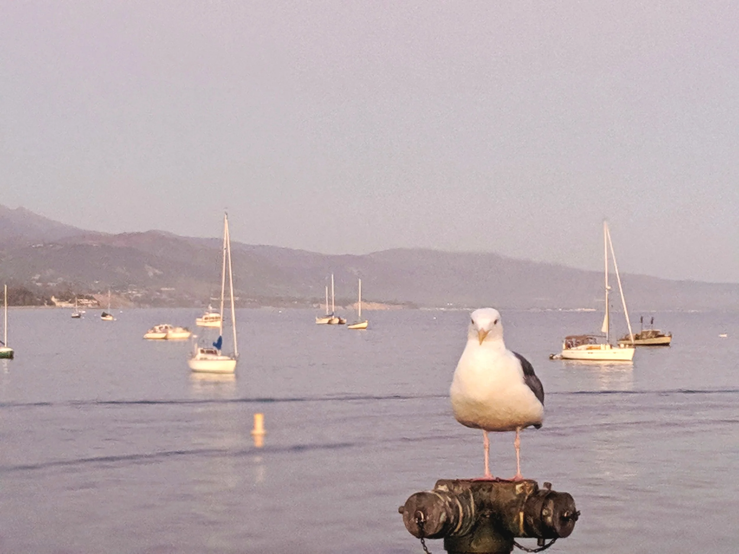 Stearns Wharf, Santa Barbara, Ca