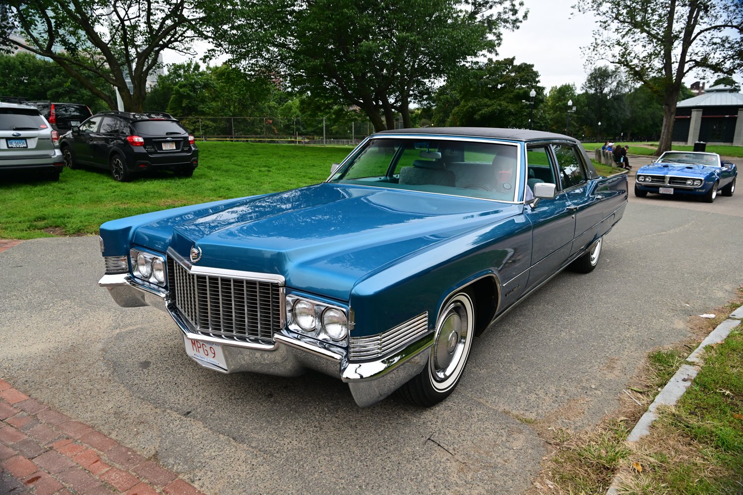 Caddy.jpg