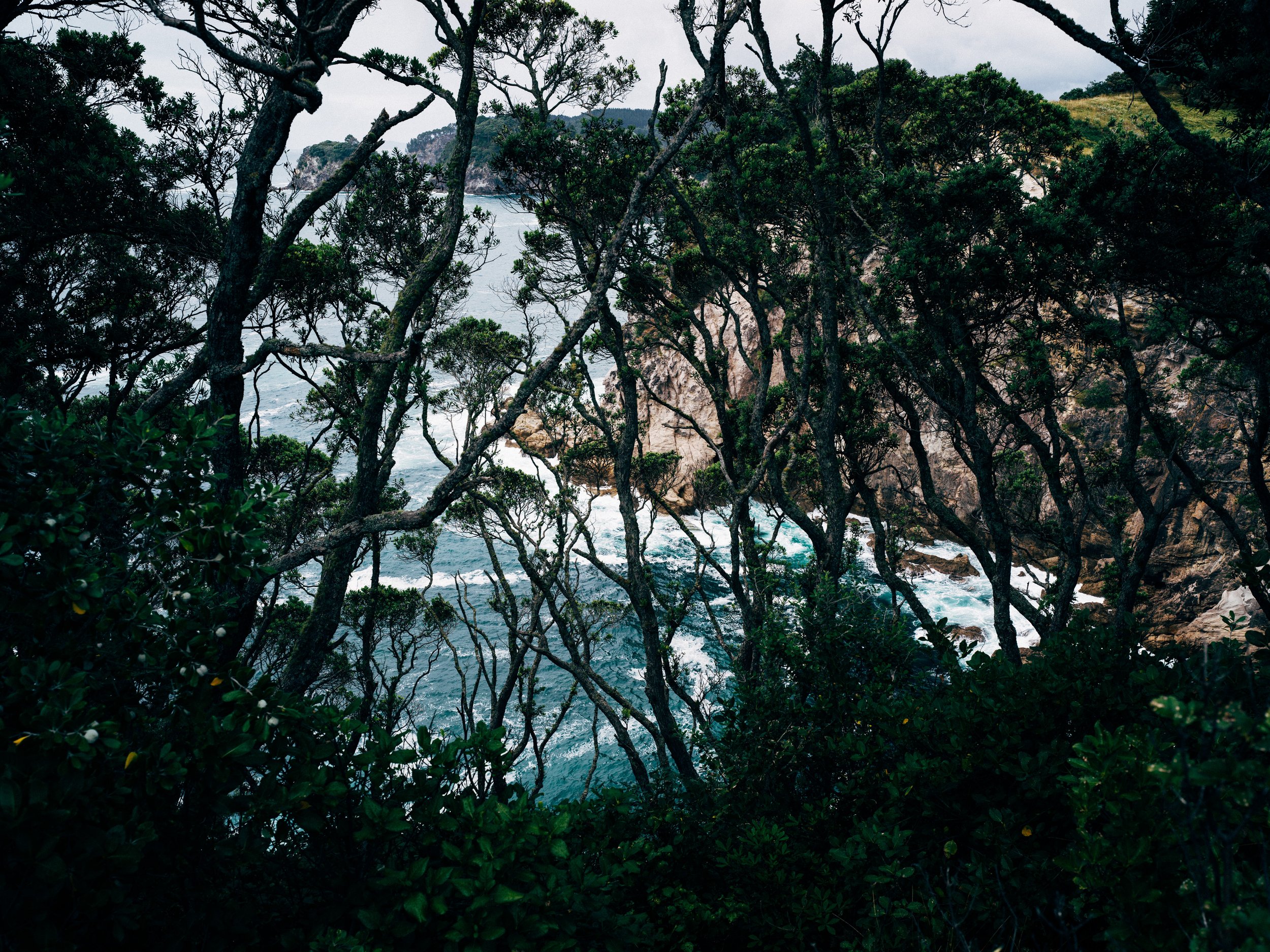 NZ_blog-4.jpg