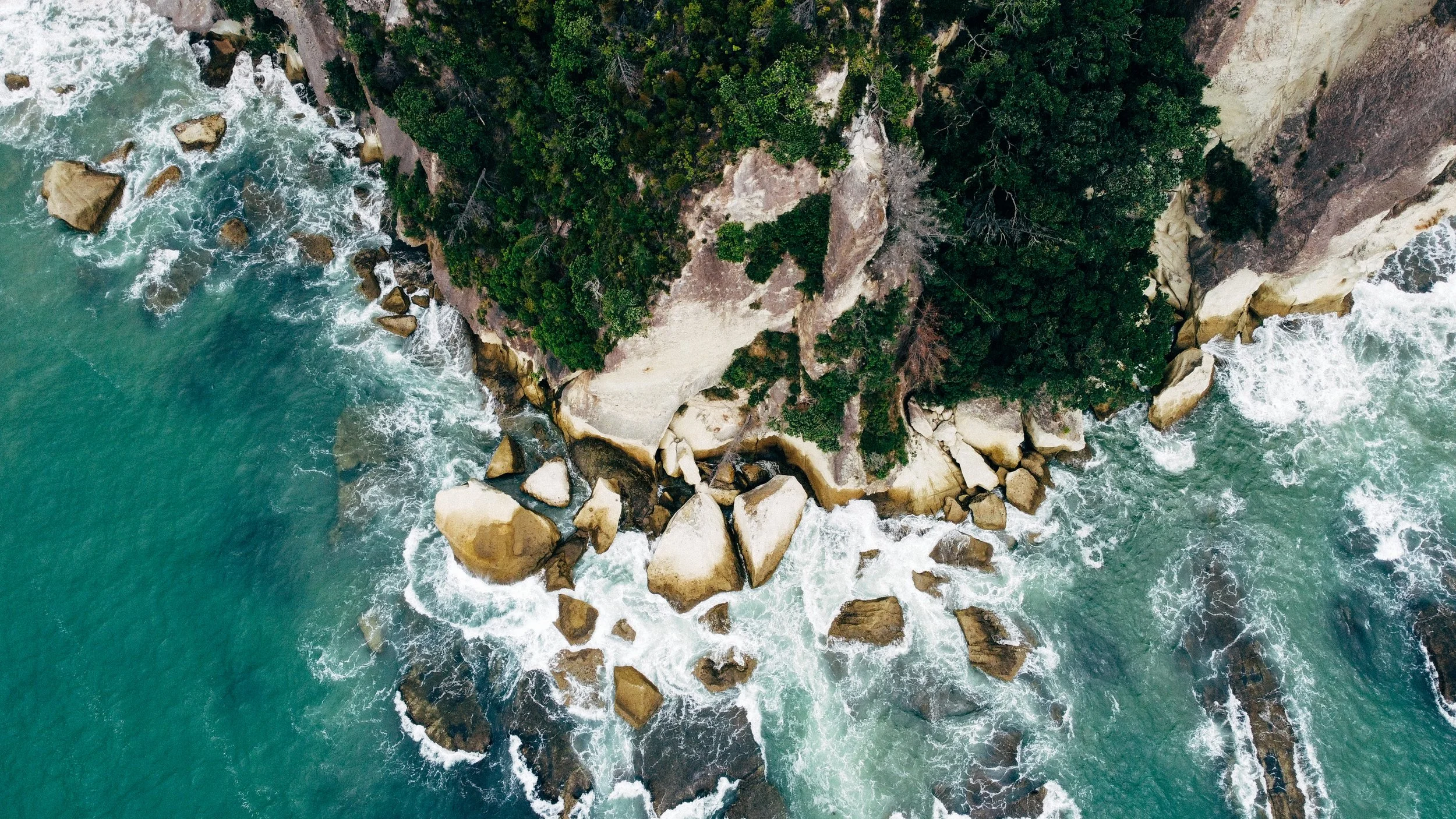 NZ_blog-7.jpg