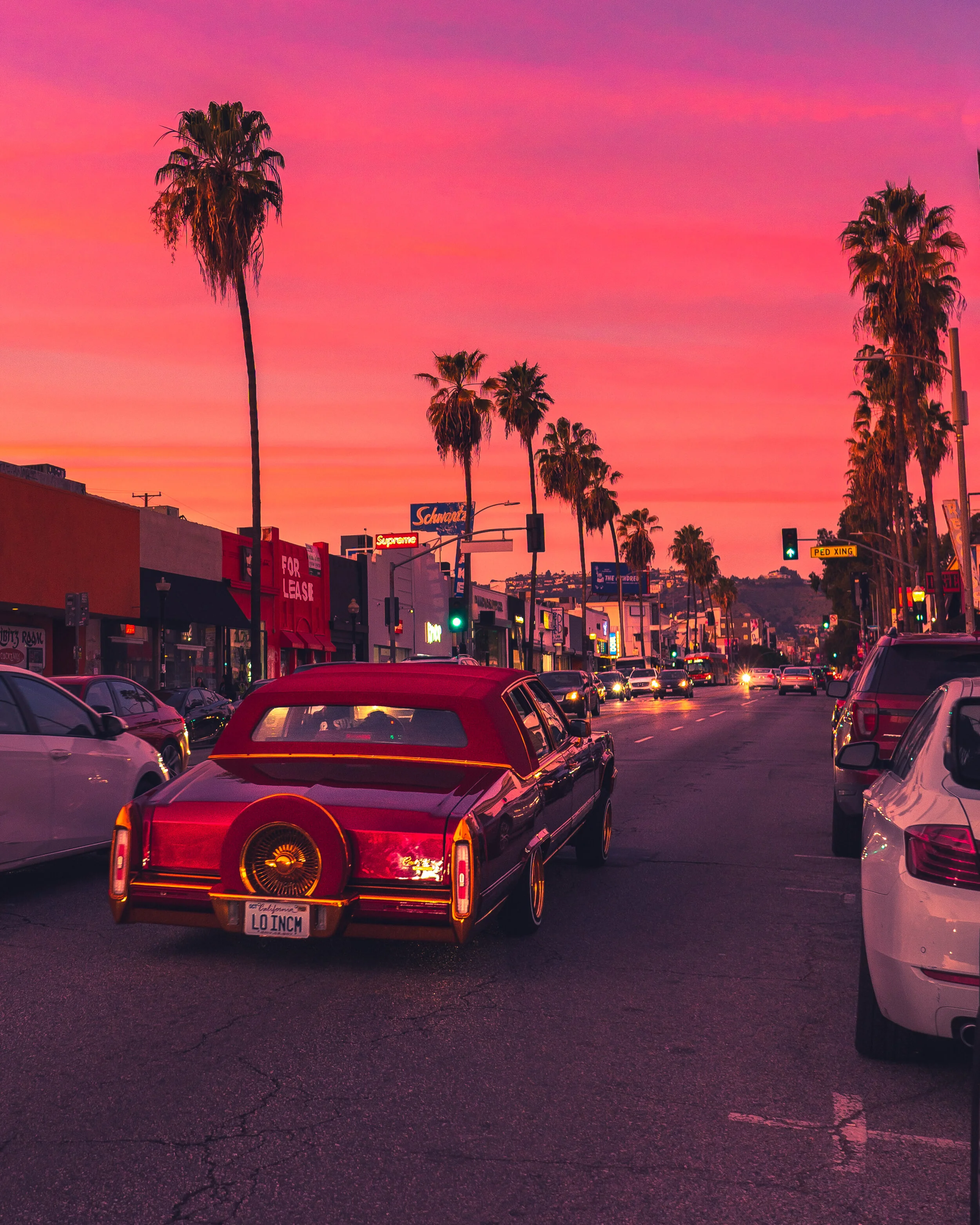 5. Vibrant Vibes.JPG