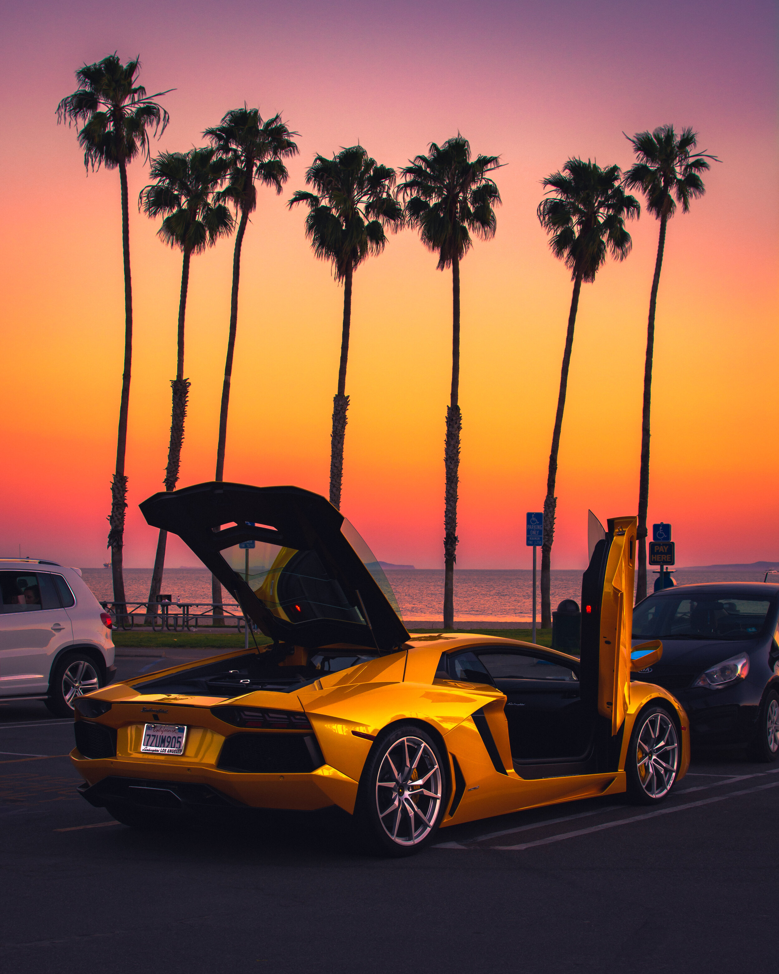 4. Vice City Vibes.JPG