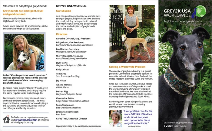 Brochure | View as PDF
