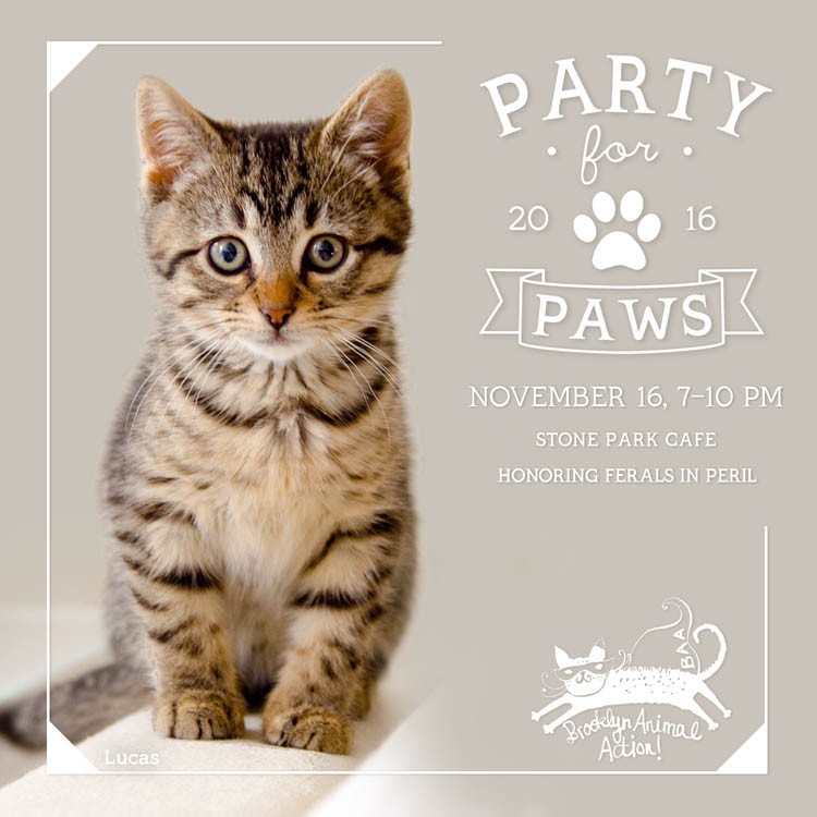 Party-for-Paws-2016-square-Lucas-update.jpg