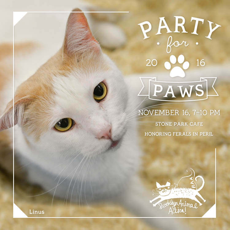 Party-for-Paws-2016-square-update-Linus.jpg