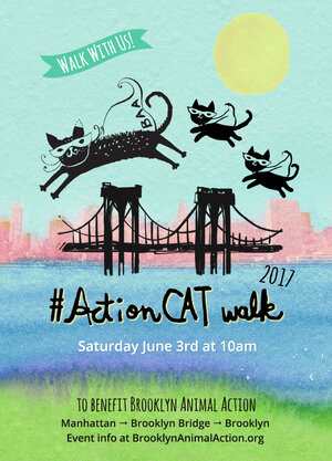 ActionCat walk 2017 social media general