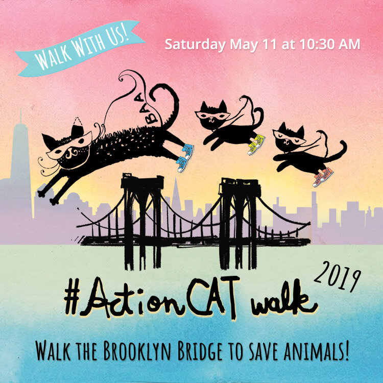 ActionCat-walk-2019-post-card-square.jpg