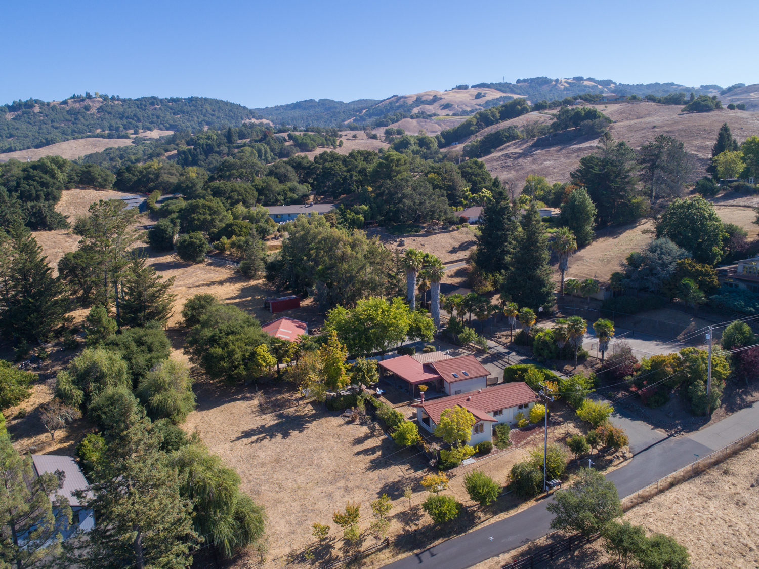 DJI_0780.jpg