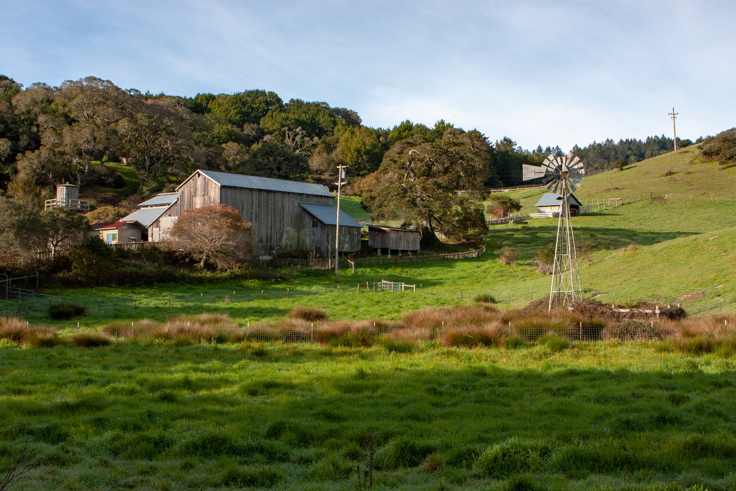 HorseshoeHill9418.jpg