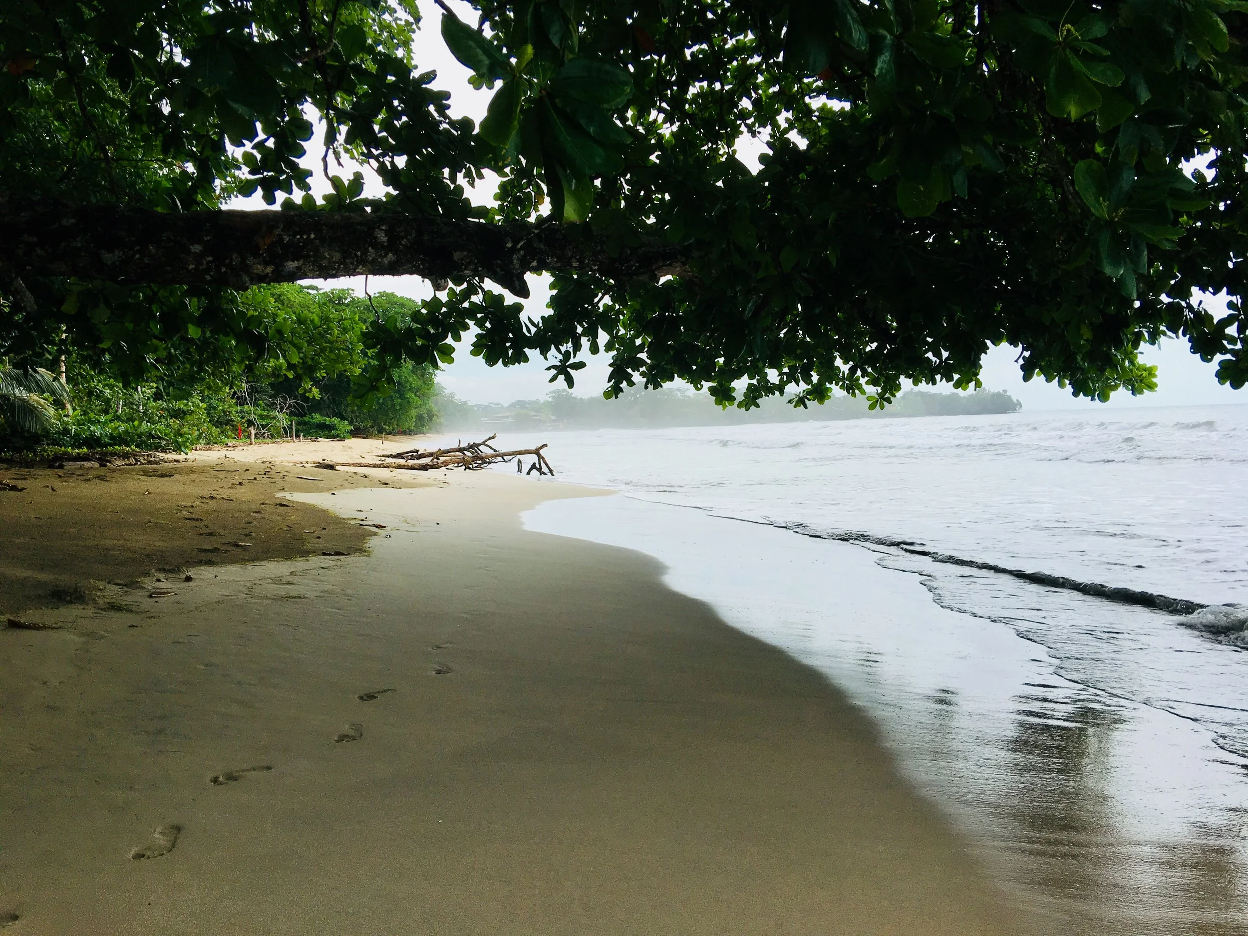 beach cr.jpg