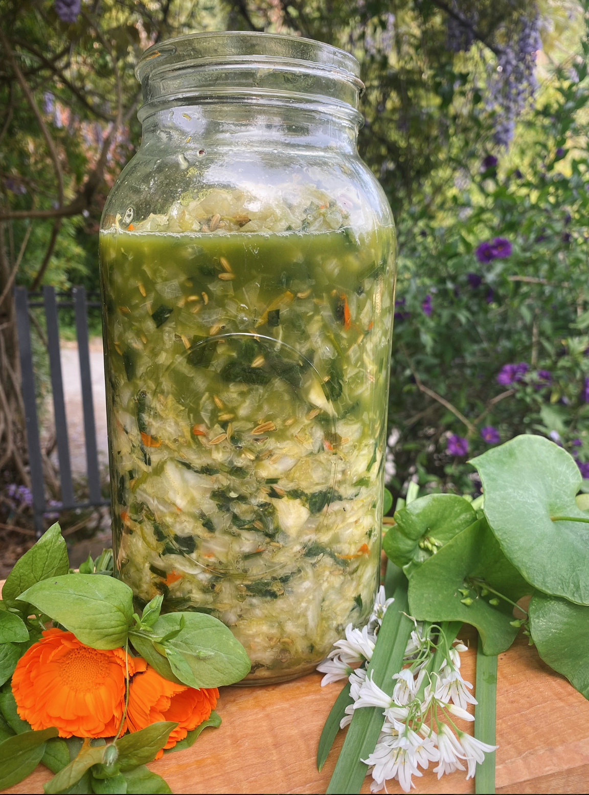 Essential Springtime Greens Sauerkraut
