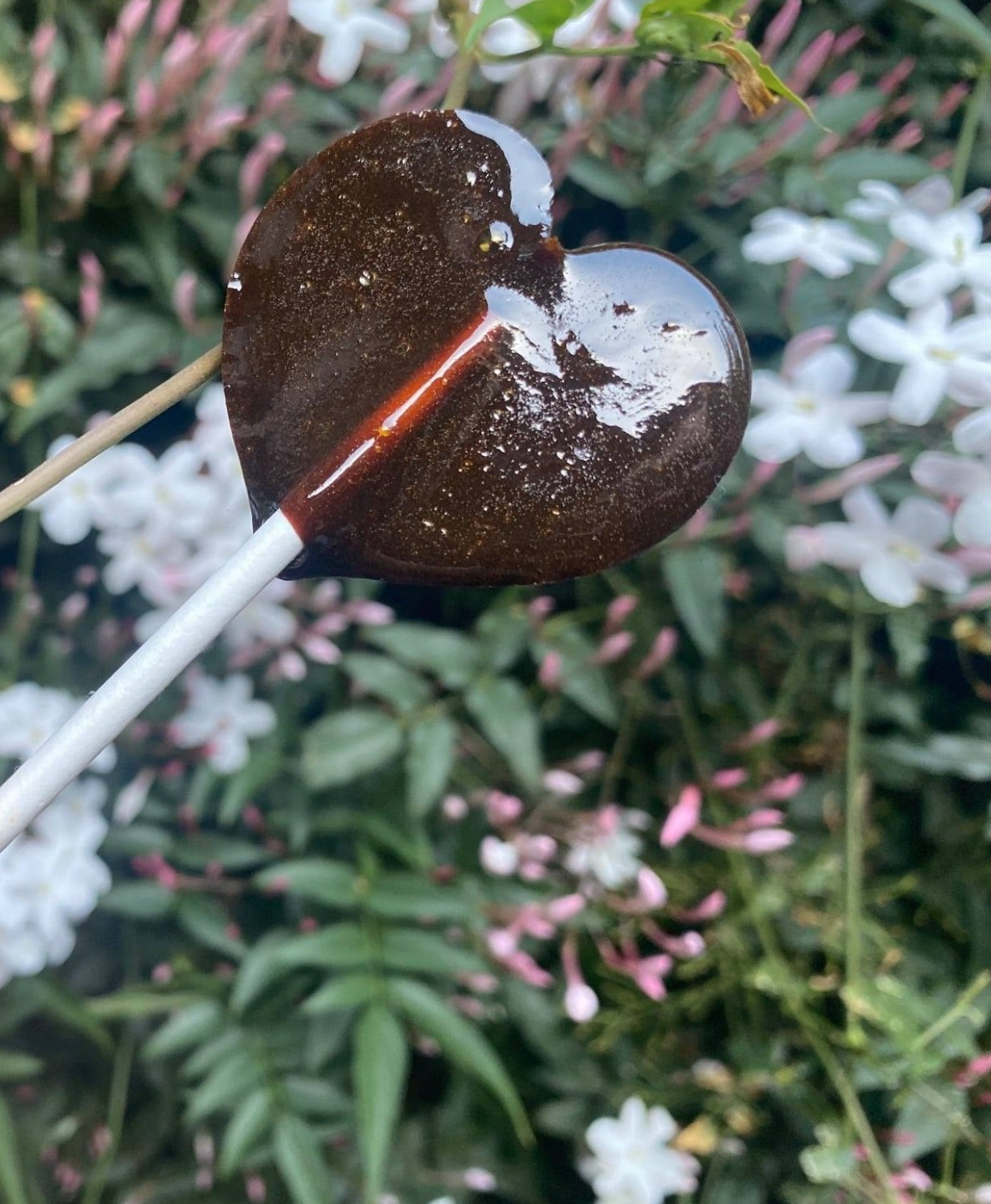 Mugwort Lollipops